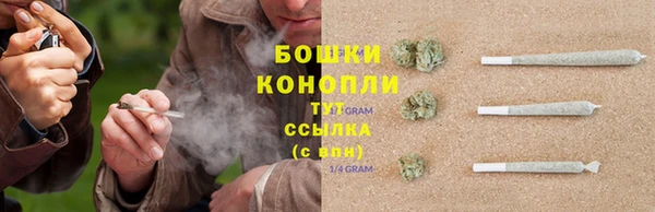 гашик Покровск