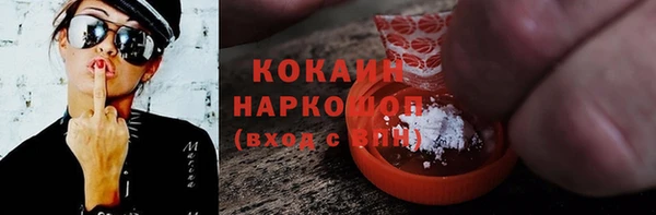 гашик Покровск