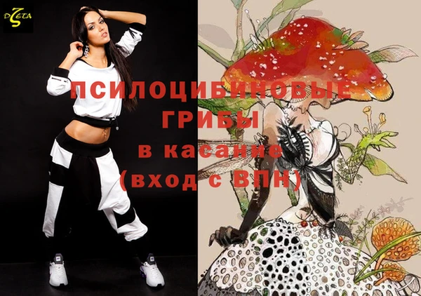 гашик Покровск