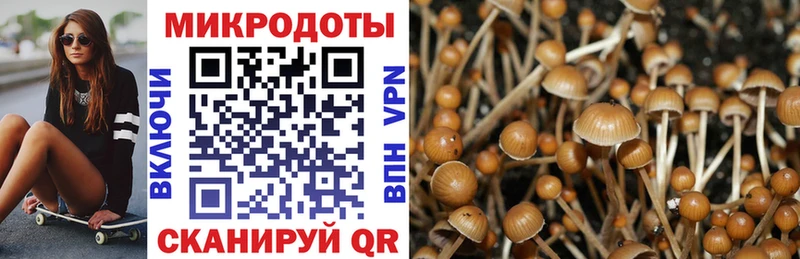 KRAKEN маркетплейс  Усмань  Псилоцибиновые грибы MAGIC MUSHROOMS 